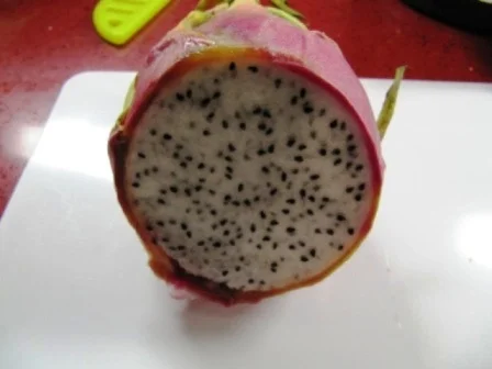 Vanillehonig "Griespudding" mit Drachenfrucht - Rezept - Bild Nr. 2