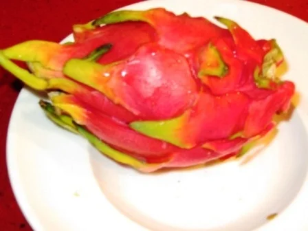 Vanillehonig "Griespudding" mit Drachenfrucht - Rezept