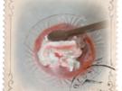 Erdbeereis (ohne Eismaschine) - Rezept