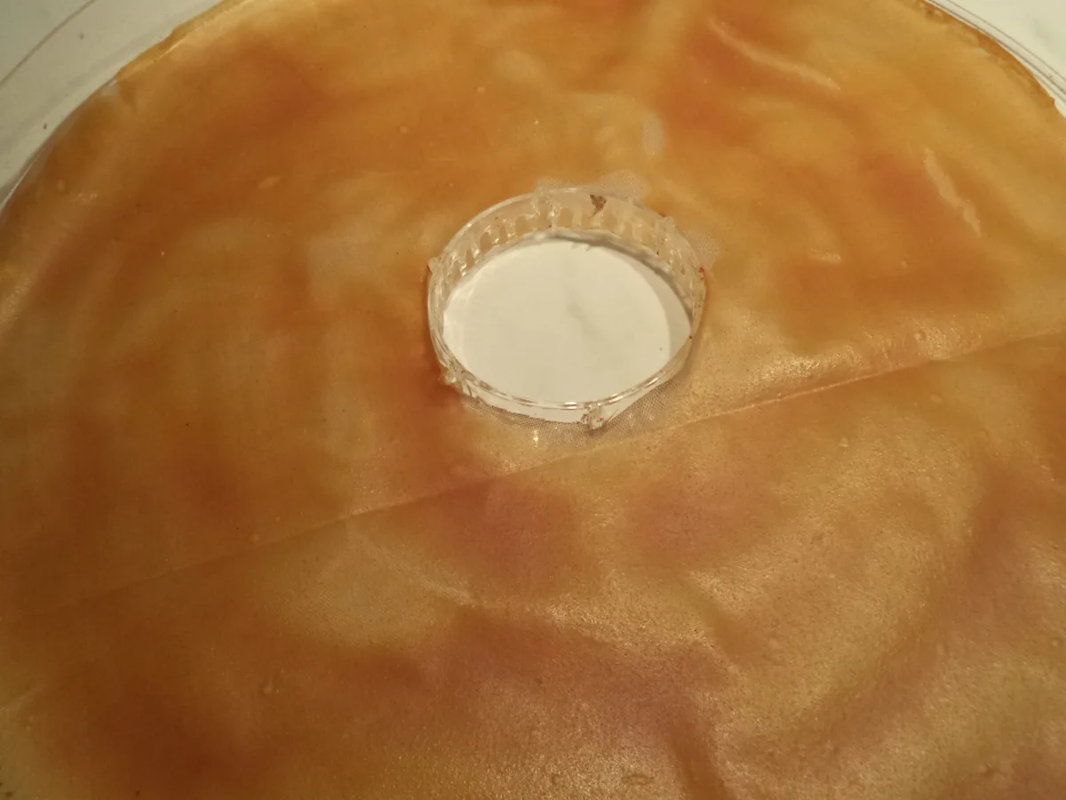 Fruchtiges Esspapier - Rezept - Bild Nr. 3