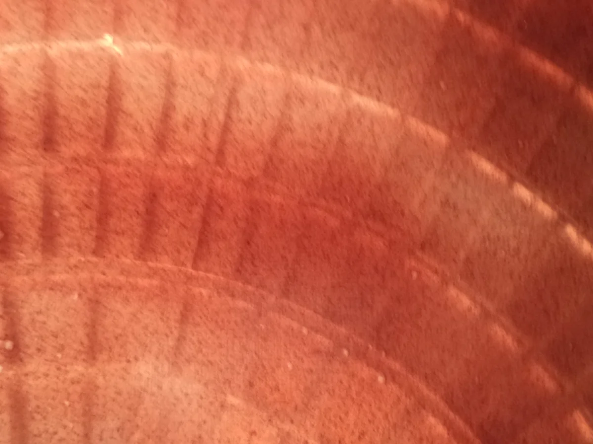 Fruchtiges Esspapier - Rezept - Bild Nr. 5