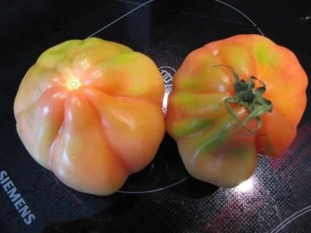 Mediteraner Tomatenauflauf - Rezept - Bild Nr. 3