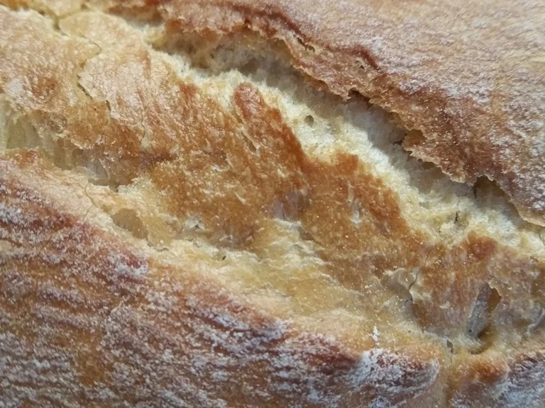 Ein mit Camenbert belegtes Baguette - Rezept - Bild Nr. 2