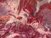 Hirschgulasch mit Kohlrabi und Kartoffelstampf à la Biggi - Rezept