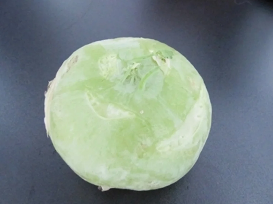 Hirschgulasch mit Kohlrabi und Kartoffelstampf à la Biggi - Rezept - Bild Nr. 5