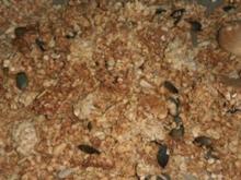 Granola Crunch  - Rezept