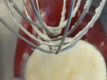 Apfel "Pfannkuchen" à la Biggi - Rezept - Bild Nr. 7