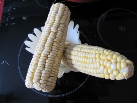 Ravioli Pilzpfanne - Rezept - Bild Nr. 6