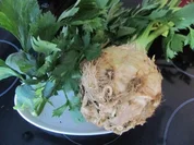 Sellerie Spinat Schaumwein Suppe - Rezept