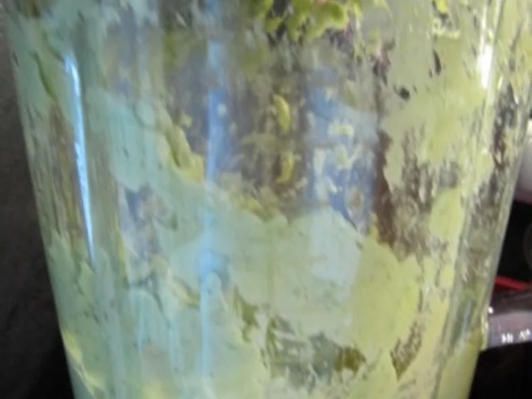 Avocadocreme als Vorspeise - Rezept - Bild Nr. 5