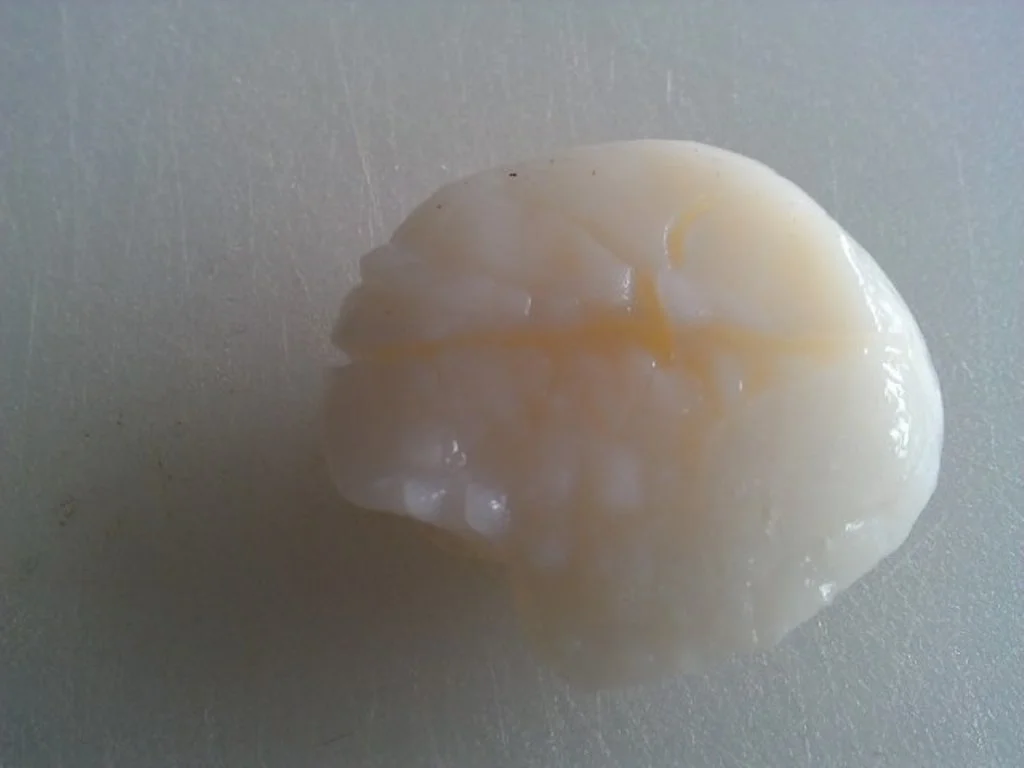 Rezept: Jacobsmuschel in Weisswein à la Biggi Bild Nr. 2 Jacobsmuschel in Weisswein à la Biggi - Rezept - Bild Nr. 2