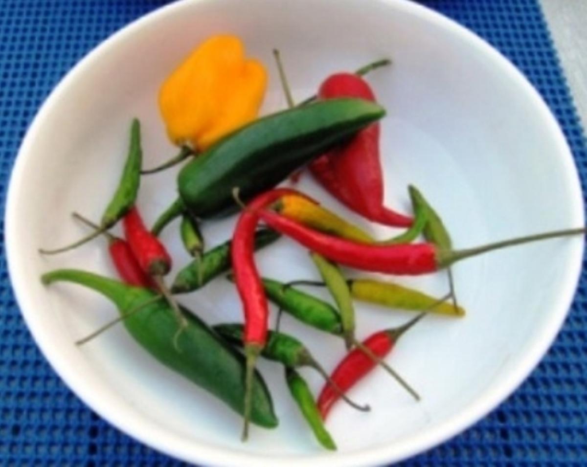 Gambas mit Hot Peppers à la Biggi - Rezept