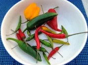 Gambas mit Hot Peppers à la Biggi - Rezept