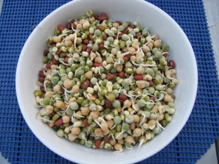 Mediteraner Salat mit jungen Sprossen - Rezept - Bild Nr. 2