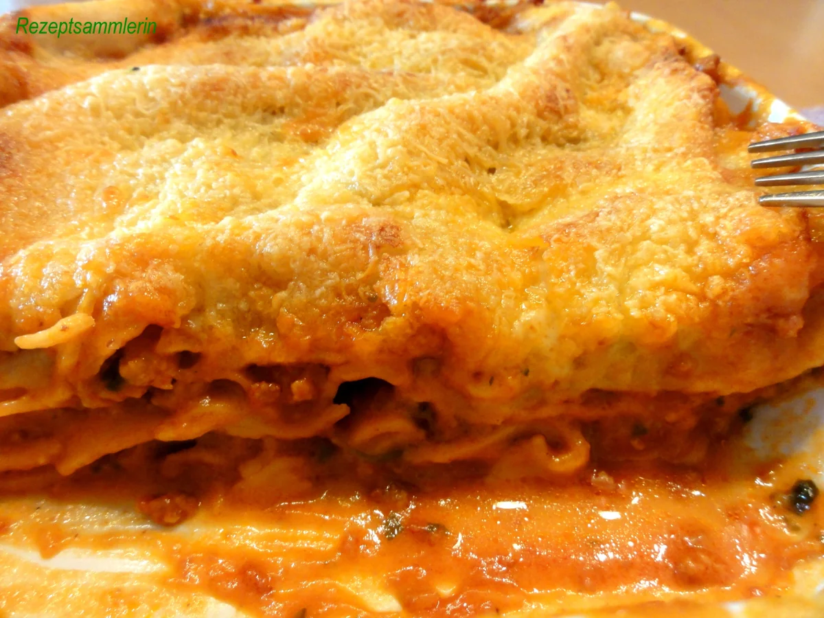 Fleisch:   BOLOGNESE  ~italienische Art~ - Rezept - Bild Nr. 3