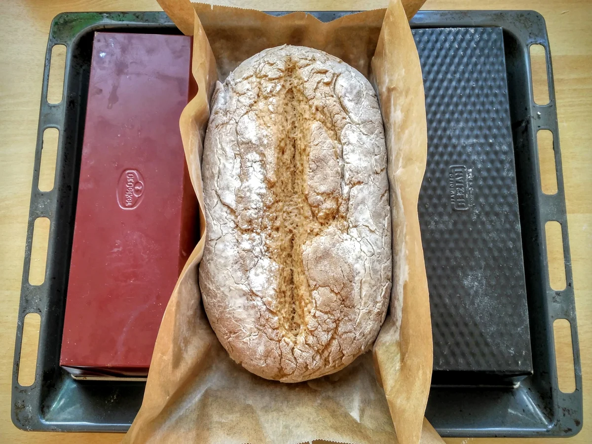 Vollkorn-Mischbrot - Rezept - Bild Nr. 5