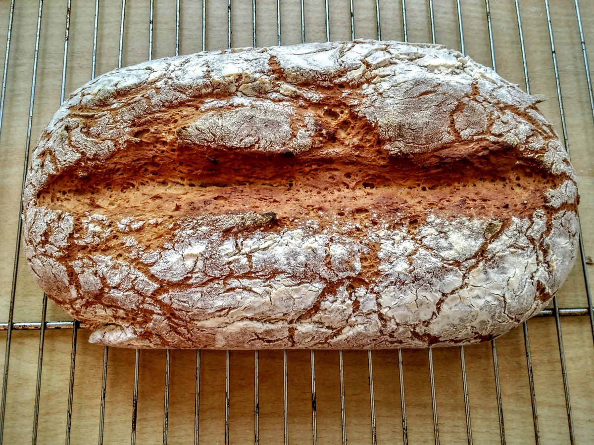 Vollkorn-Mischbrot - Rezept - Bild Nr. 7