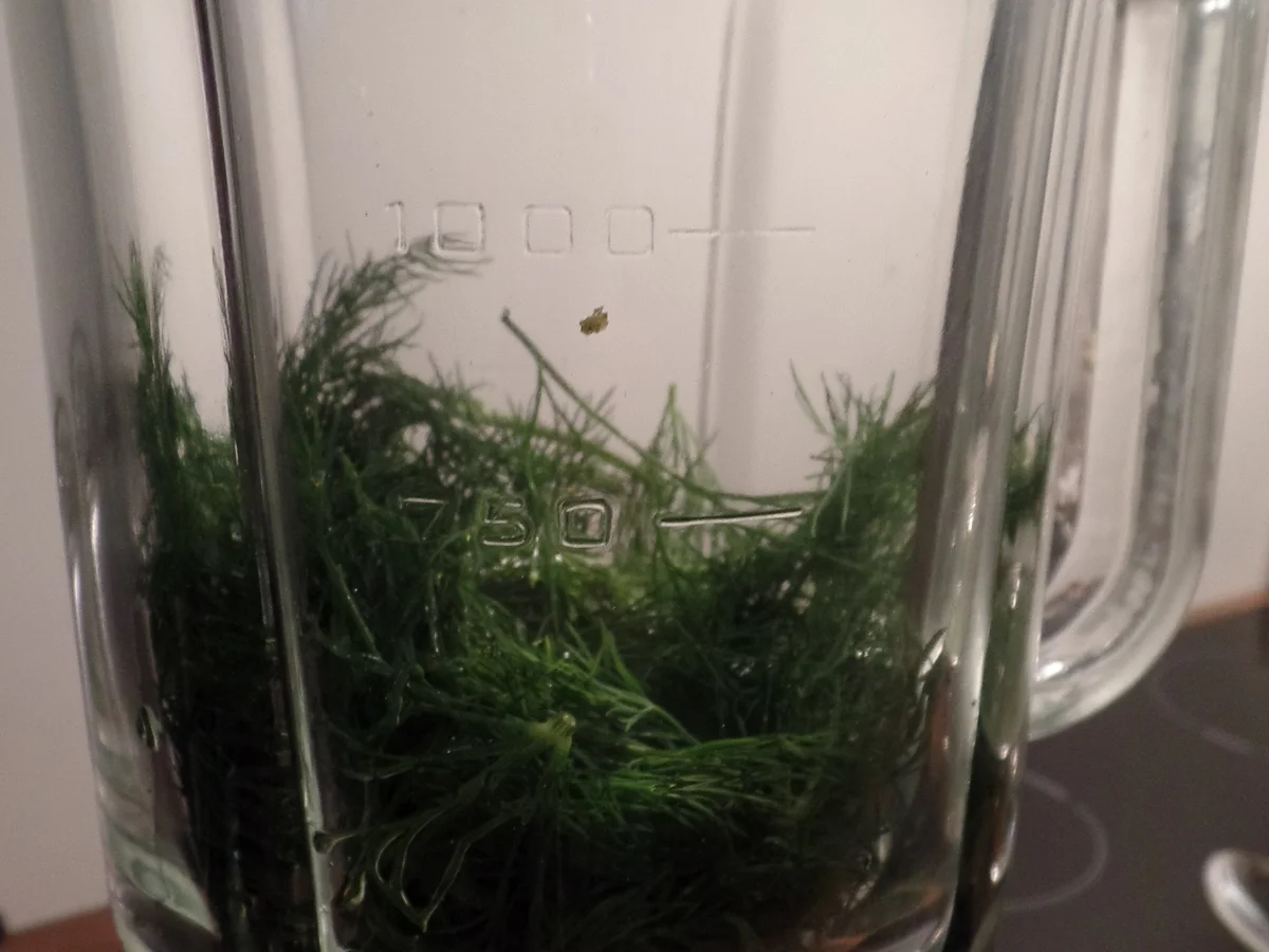 Käsecreme-Suppe - Rezept - Bild Nr. 10