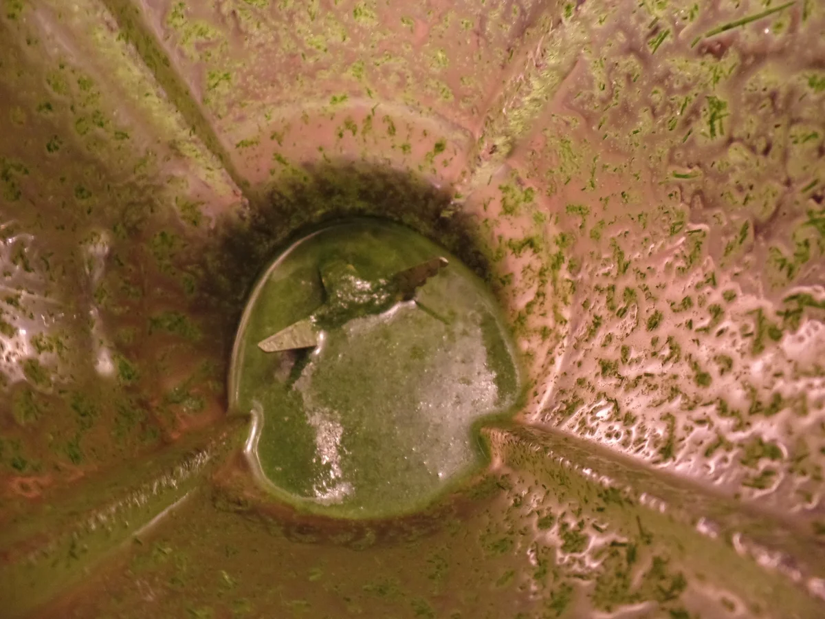 Käsecreme-Suppe - Rezept - Bild Nr. 11