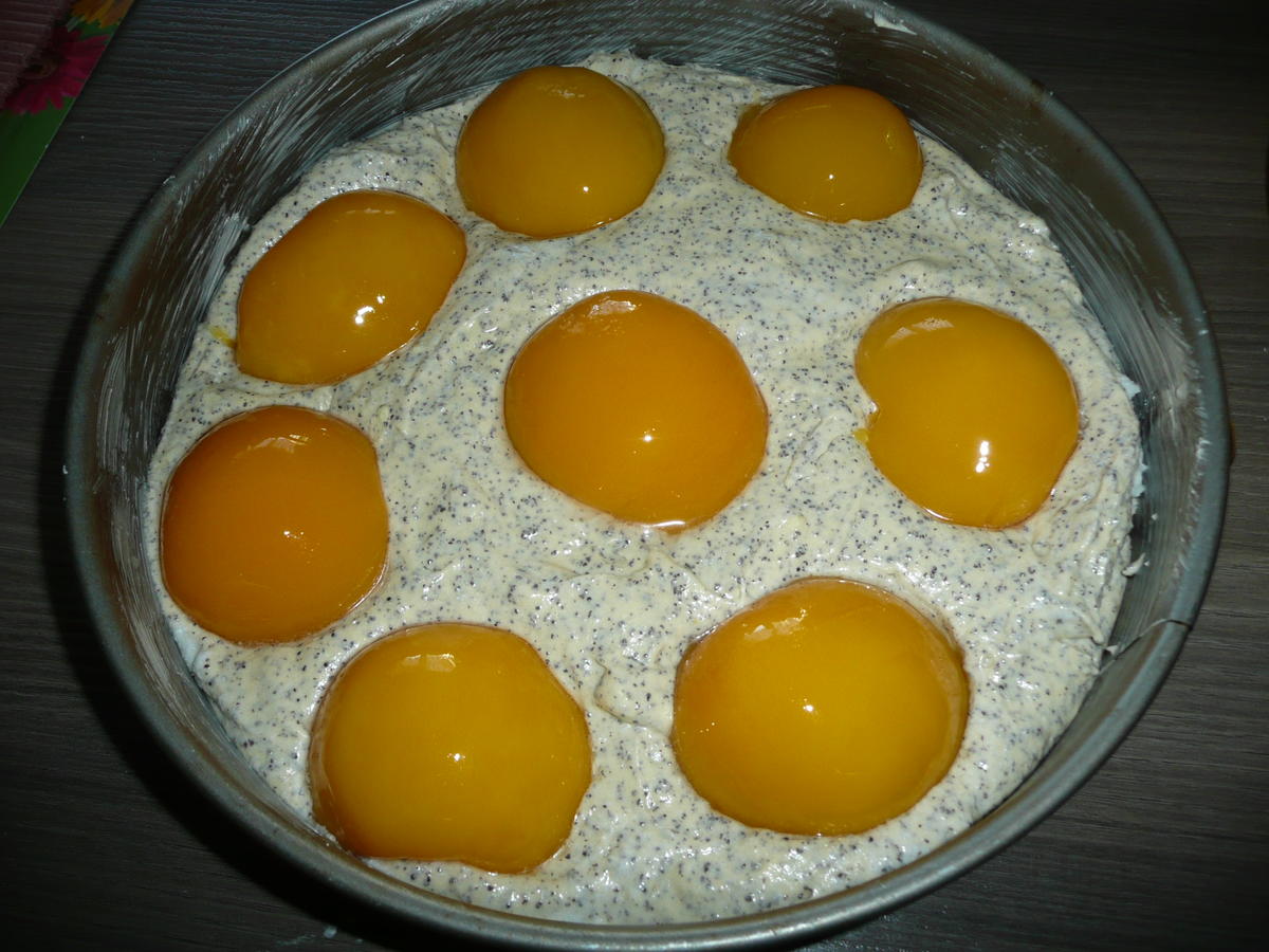Mohn - Quark -   Pfirsich - Kuchen - Rezept - Bild Nr. 5