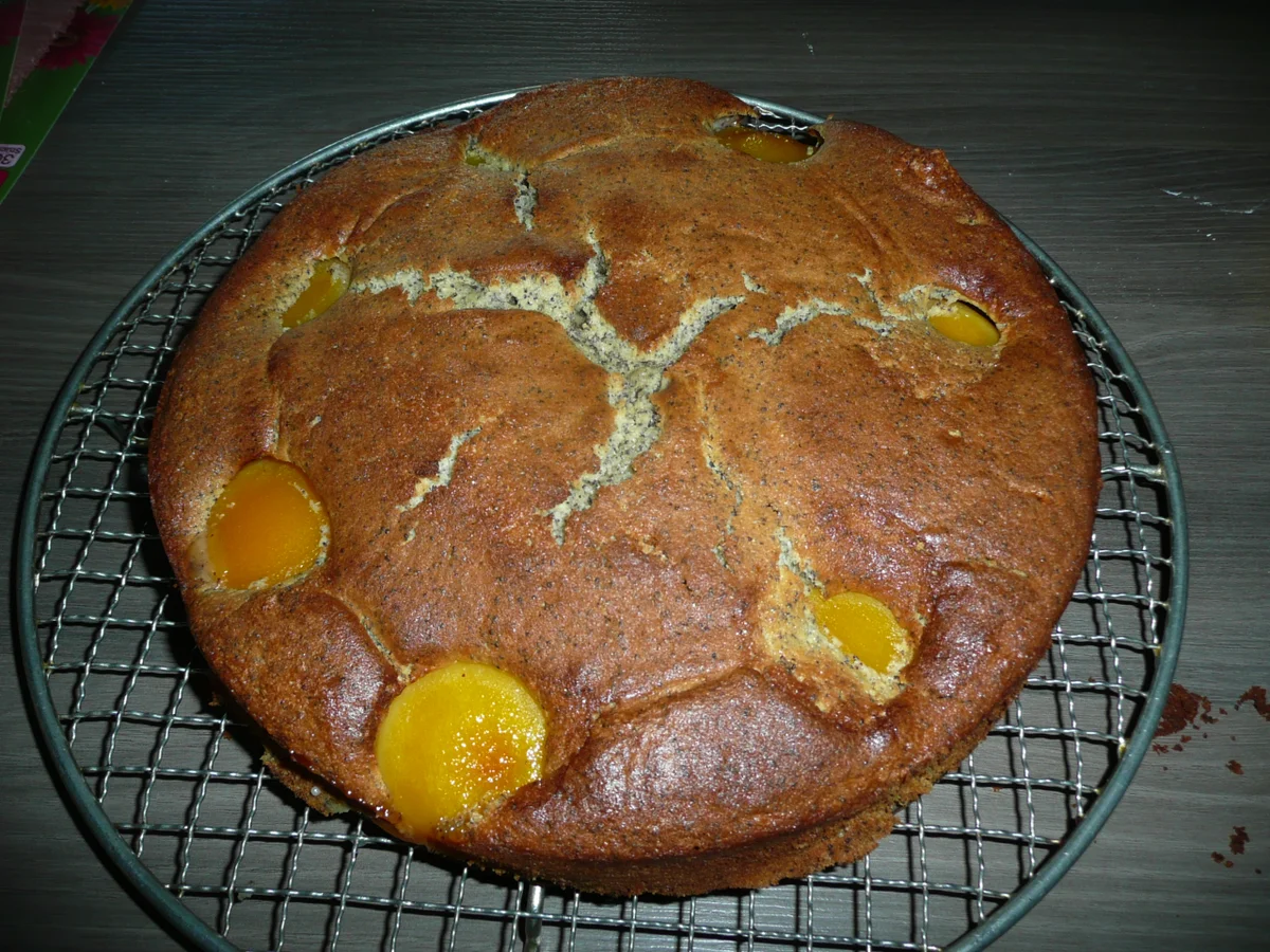 Mohn - Quark -   Pfirsich - Kuchen - Rezept