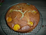 Mohn - Quark -   Pfirsich - Kuchen - Rezept