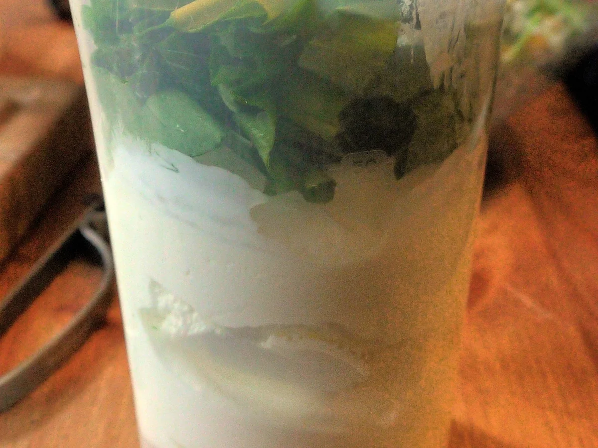 Kunterbunter Linsensalat mit Bärlauch-Joghurt-Dressing - Rezept - Bild Nr. 11