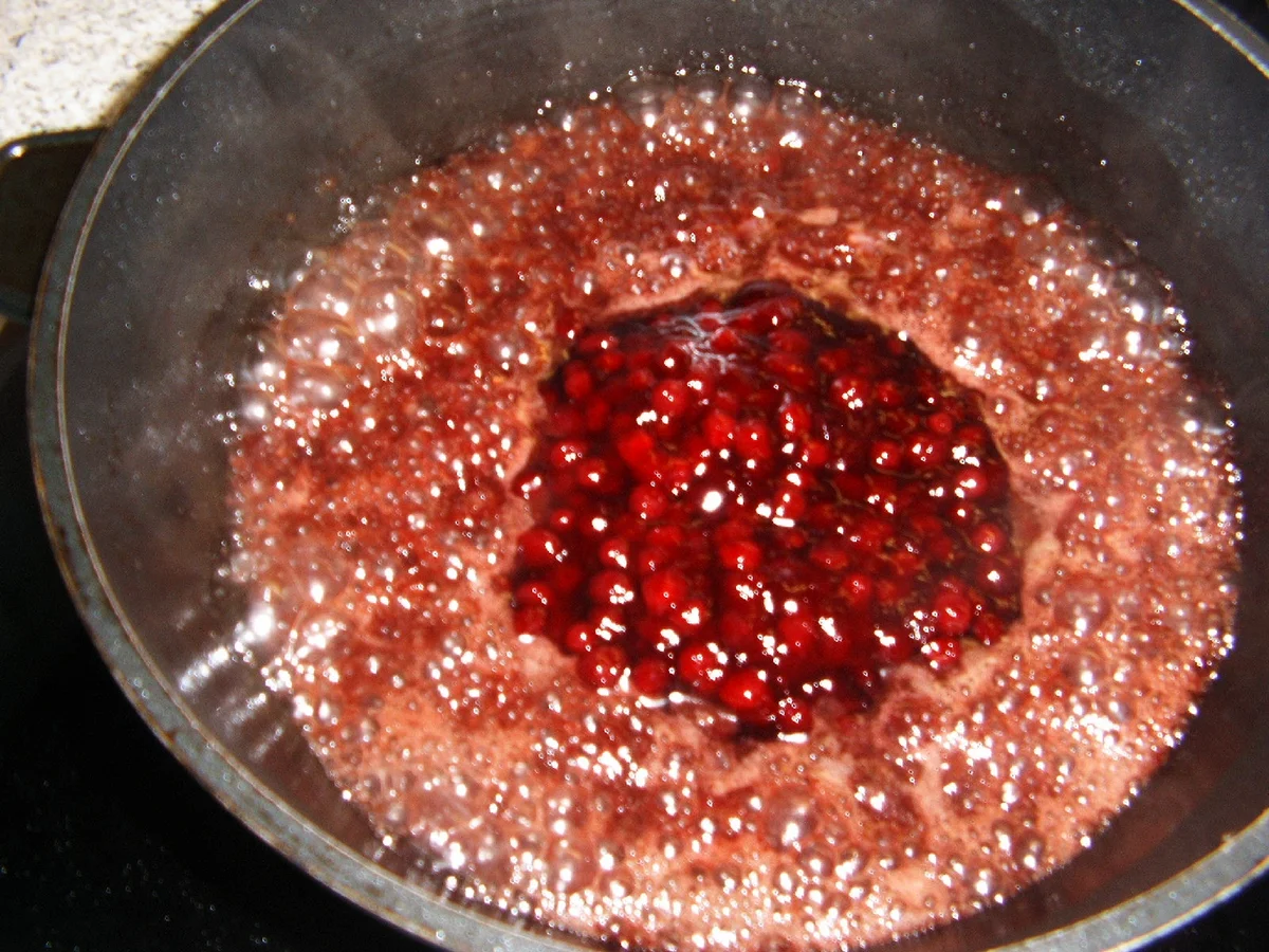 Rezept: Schweinefilet mit Preiselbeersoße Bild Nr. 8 Schweinefilet mit Preiselbeersoße - Rezept - Bild Nr. 8