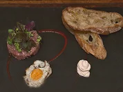 Beef Tatar mit Wachtelei, Micro Salat und Schalottencreme - Rezept - Bild Nr. 2