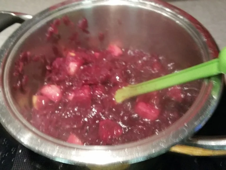 Rezept: Hähnchenbrust Medallions mit Rotkohl à la Biggi Bild Nr. 10 Hähnchenbrust Medallions mit Rotkohl à la Biggi - Rezept - Bild Nr. 10