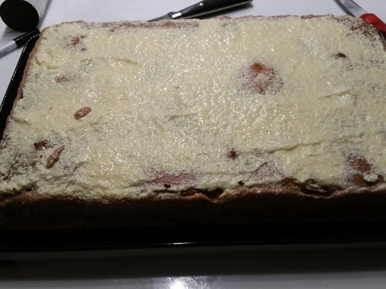 Rezept: Willi`s "Birthday Torte" Bild Nr. 45 Willi`s "Birthday Torte" - Rezept - Bild Nr. 45