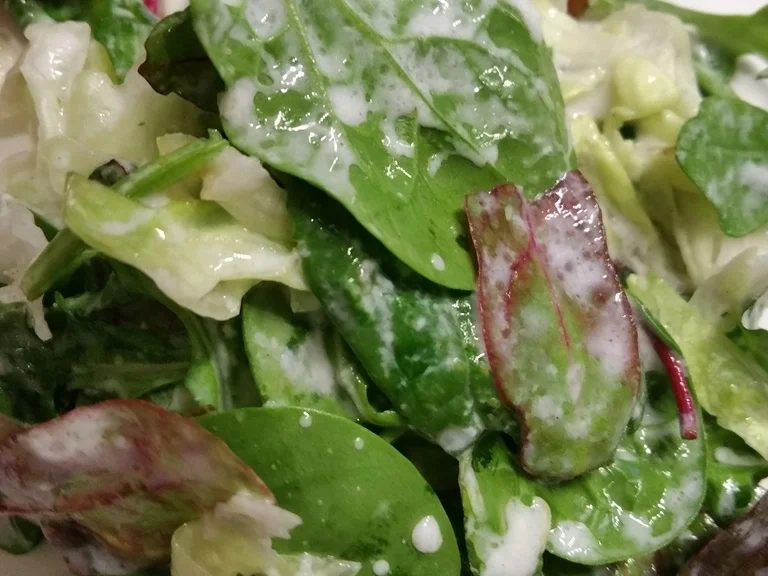 Zitronen-Vanille Schnitzel mit Salat und Champignons à la Biggi - Rezept - Bild Nr. 15