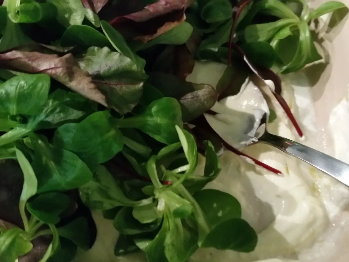 Gemischter Salat mit Käse Creme Dressing - Rezept