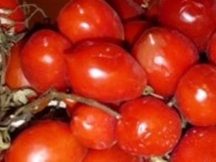 Rezept: Bolognese Sosse à la Biggi Bild Nr. 5 Bolognese Sosse à la Biggi - Rezept - Bild Nr. 5