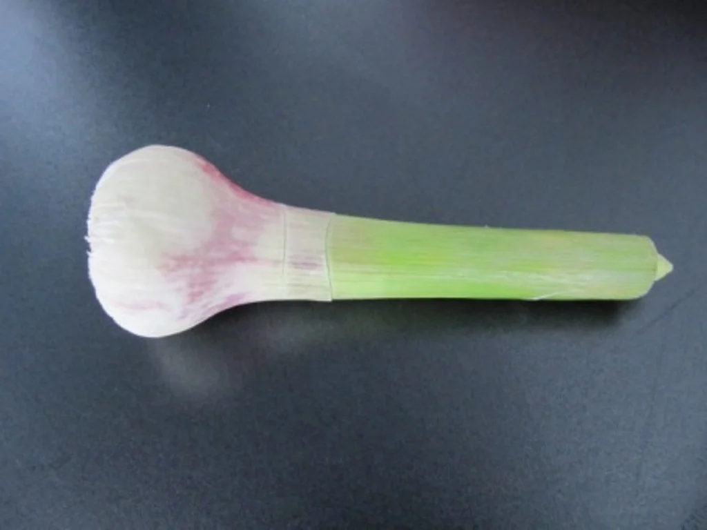 Rezept: Bolognese Sosse à la Biggi Bolognese Sosse à la Biggi - Rezept