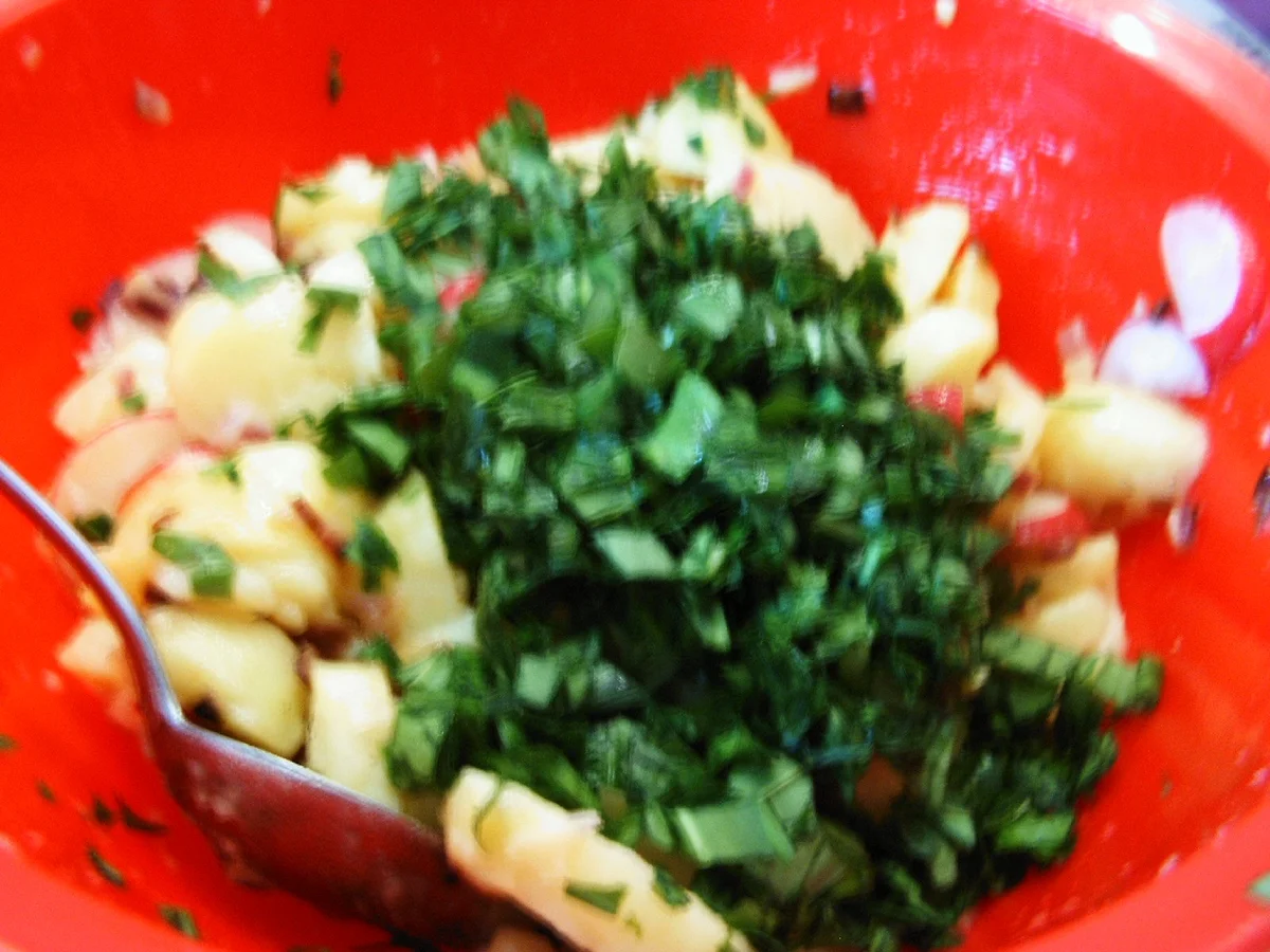 Bärlauch-Kartoffelsalat - Rezept - Bild Nr. 8