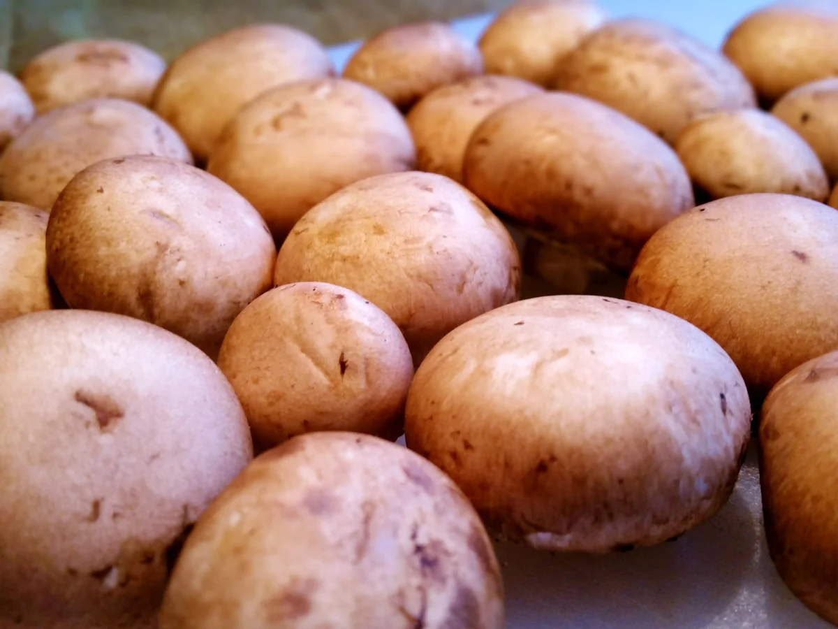 Champignons in pikanter Kräutersoße ... - Rezept - Bild Nr. 2