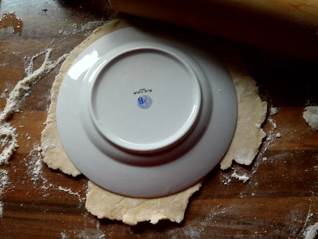 pizza - Rezept - Bild Nr. 17