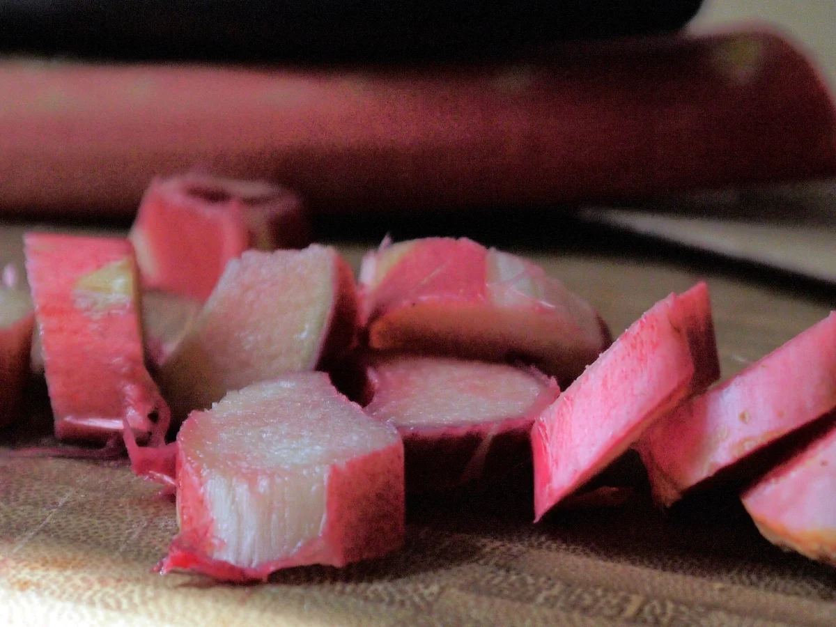 Ricotta auf Rhabarber - Rezept - Bild Nr. 3