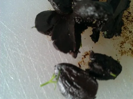 Rezept: Knoblauch Kräuter Zitroneneol Bild Nr. 2 Knoblauch Kräuter Zitroneneol - Rezept - Bild Nr. 2