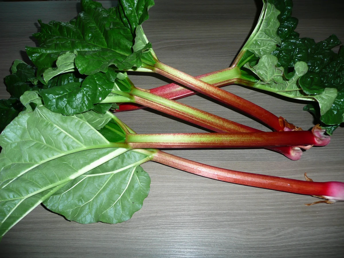 Rezept: Muffins auf Streusel + mit Rhabarber - Johannisbeere und Baiser. Bild Nr. 2 Muffins auf Streusel + mit Rhabarber - Johannisbeere und Baiser. - Rezept - Bild Nr. 2