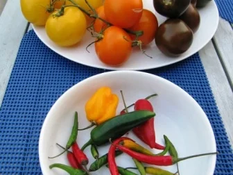 Rezept: Würz-Basic zu Sossen mit Chilli Würz-Basic zu Sossen mit Chilli - Rezept