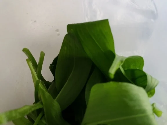 Rezept: Bärlauch Emulsion "Pesto" mit Pfiff Bild Nr. 3 Bärlauch Emulsion "Pesto" mit Pfiff - Rezept - Bild Nr. 3