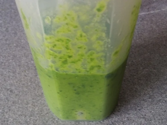 Rezept: Bärlauch Emulsion "Pesto" mit Pfiff Bild Nr. 11 Bärlauch Emulsion "Pesto" mit Pfiff - Rezept - Bild Nr. 11