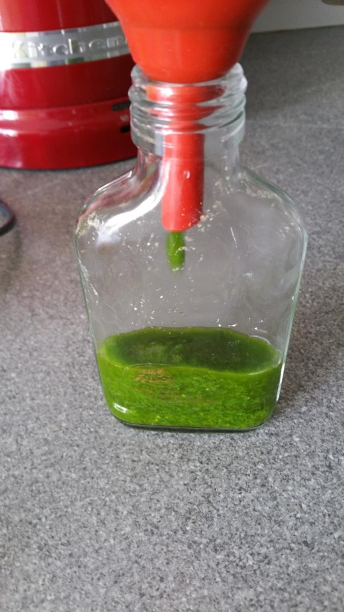 Bärlauch Emulsion "Pesto" mit Pfiff - Rezept - Bild Nr. 12
