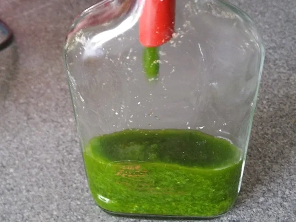 Rezept: Bärlauch Emulsion "Pesto" mit Pfiff Bild Nr. 12 Bärlauch Emulsion "Pesto" mit Pfiff - Rezept - Bild Nr. 12