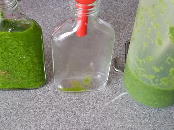 Rezept: Bärlauch Emulsion "Pesto" mit Pfiff Bild Nr. 10 Bärlauch Emulsion "Pesto" mit Pfiff - Rezept - Bild Nr. 10