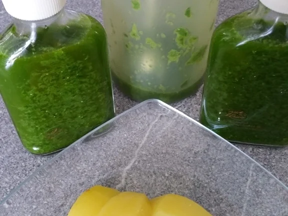 Rezept: Bärlauch Emulsion "Pesto" mit Pfiff Bild Nr. 13 Bärlauch Emulsion "Pesto" mit Pfiff - Rezept - Bild Nr. 13