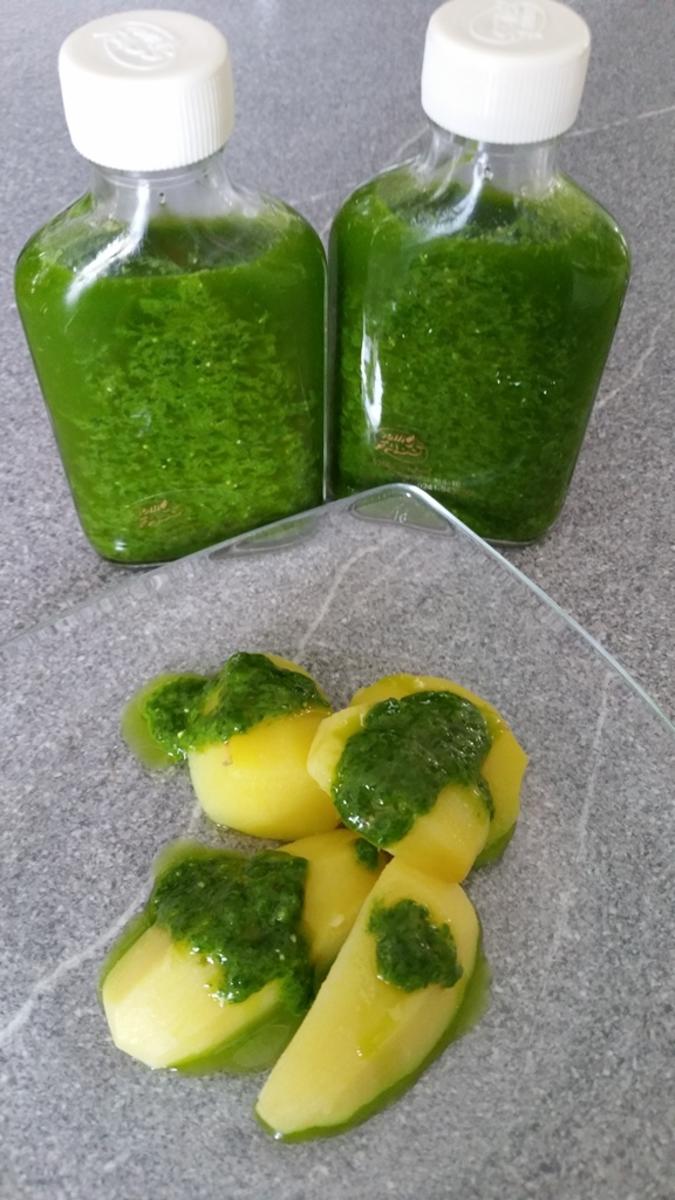 Bärlauch Emulsion "Pesto" mit Pfiff - Rezept