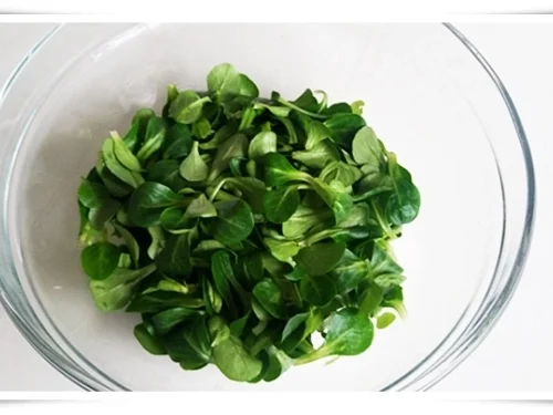 Parmesan-Sesam Körbchen  für  knackigen Salat - Rezept - Bild Nr. 13